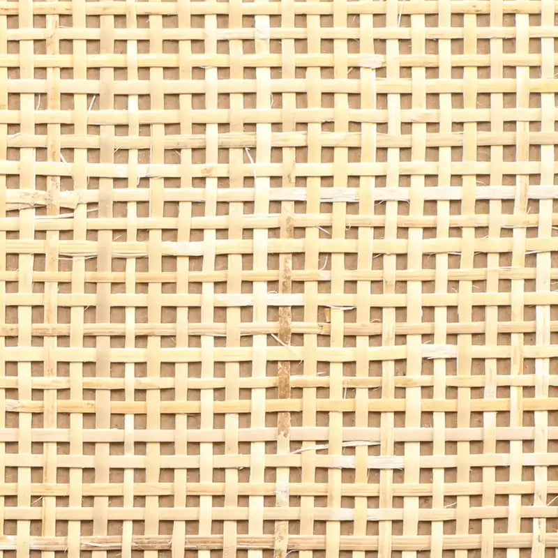 Bianco / Noce / Nero / Marrone Armadietto a 2 ante con pannello in rattan, ripiano regolabile, per 1