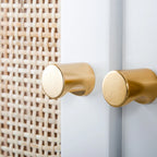 Bianco / Noce / Nero / Marrone Armadietto a 2 ante con pannello in rattan, ripiano regolabile, per 1